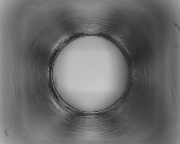 X0000101650686200807100940