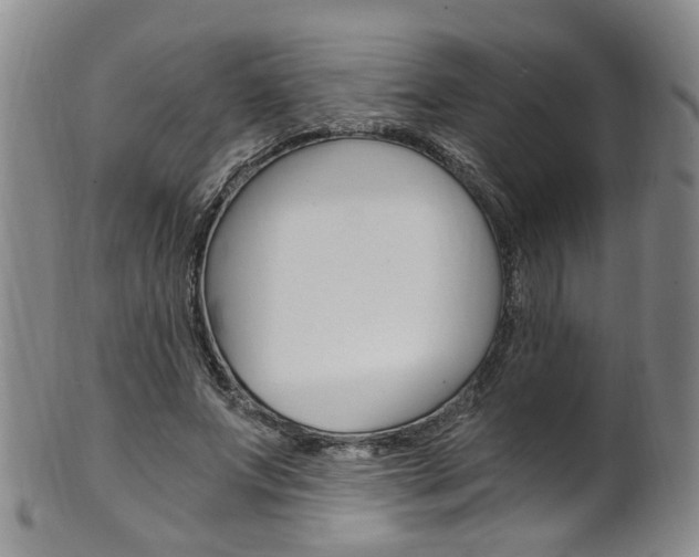 X0000101650687200807100940