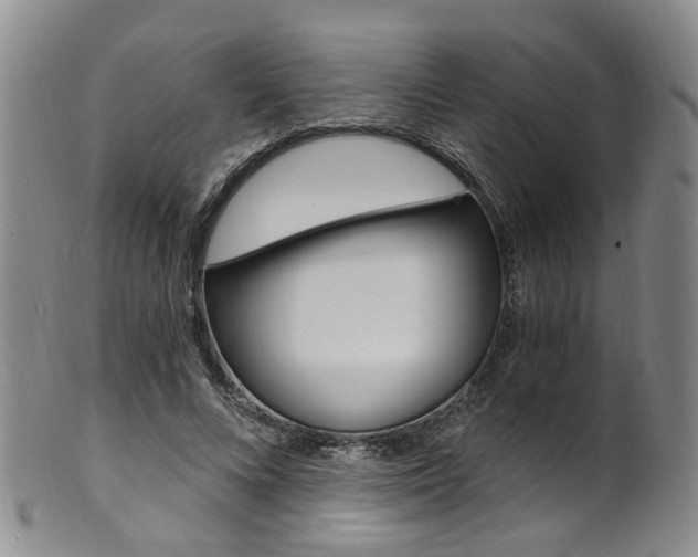 X0000101650688200807100940