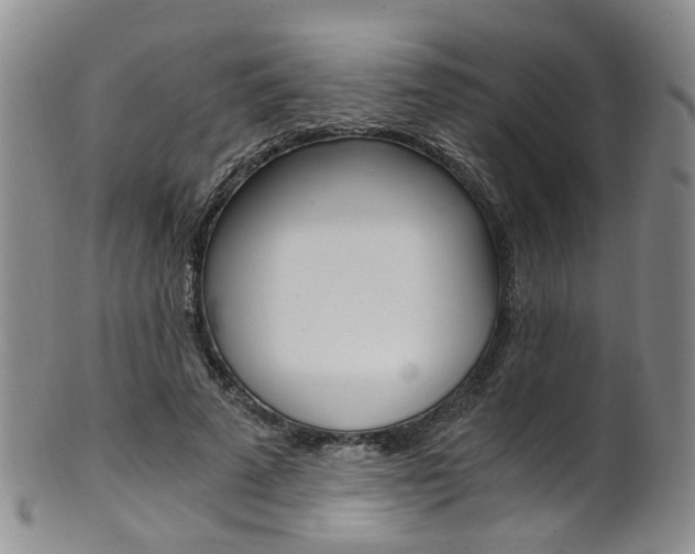 X0000101650689200807100940