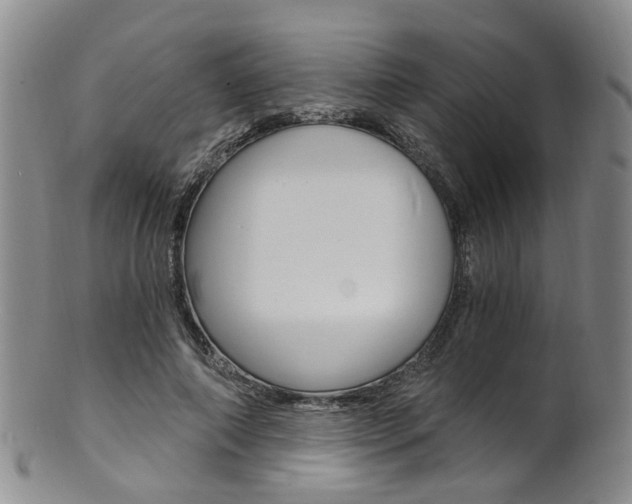 X0000101650690200807100940