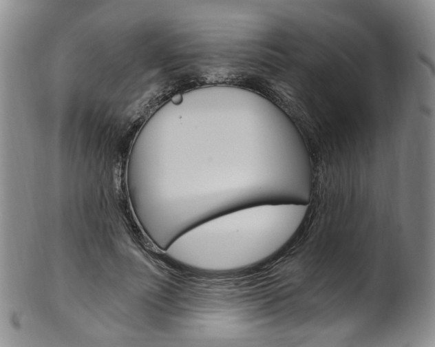 X0000101650691200807100940