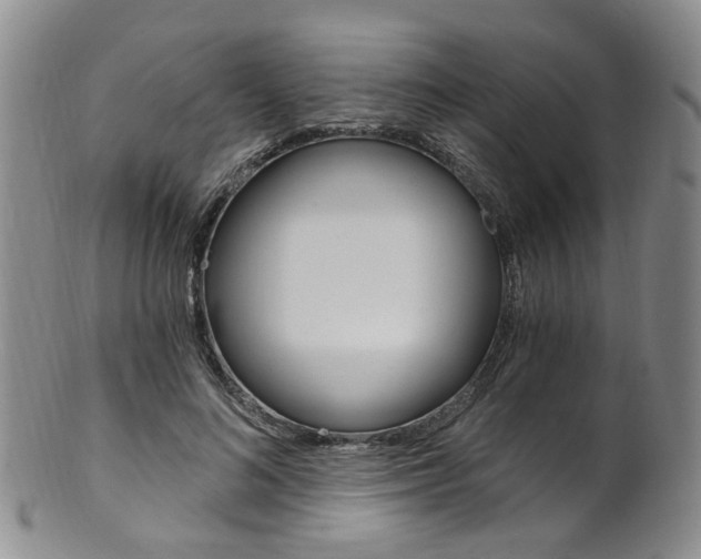 X0000101650692200807100940