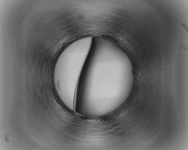 X0000101650693200807100940