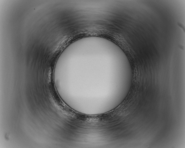 X0000101650694200807100940