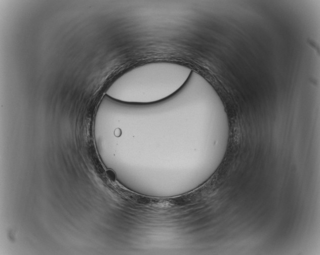 X0000101650695200807100940