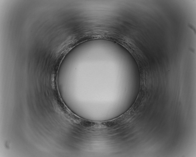 X0000101650696200807100940