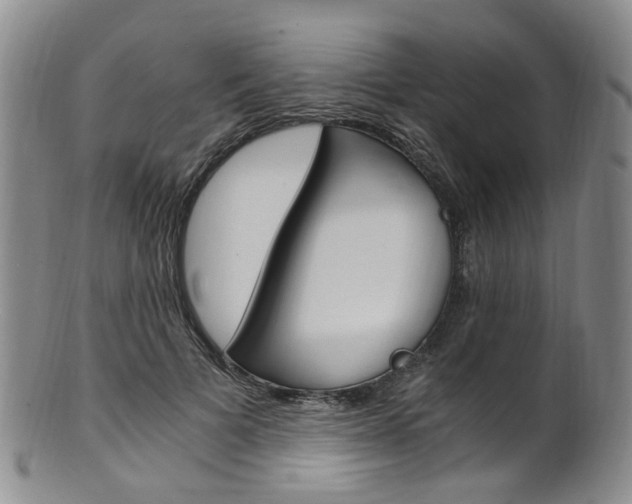 X0000101650697200807100940