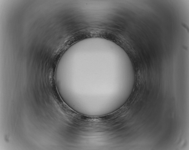 X0000101650698200807100940