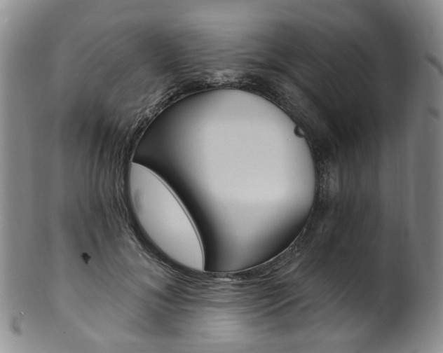 X0000101650700200807100940