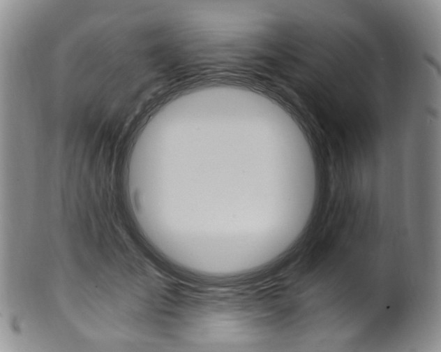 X0000101650701200807100940