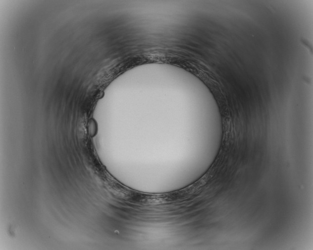 X0000101650702200807100940