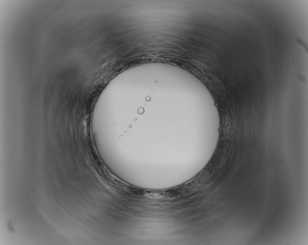 X0000101650703200807100940