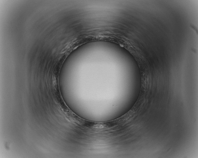 X0000101650704200807100940