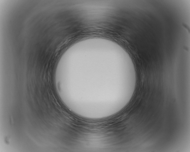 X0000101650705200807100940