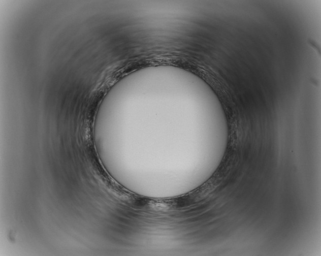 X0000101650706200807100940