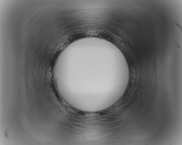 X0000101650707200807100940