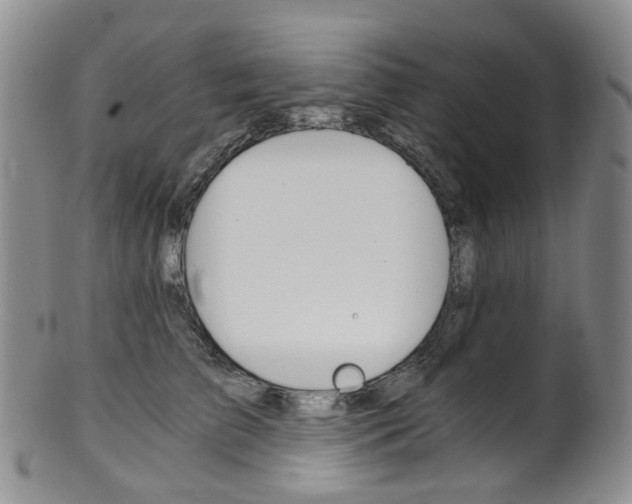 X0000101650709200807100940
