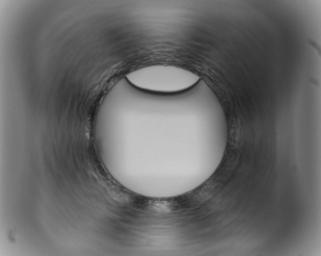 X0000101650710200807100940