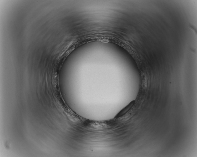 X0000101650712200807100940