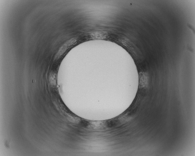 X0000101650713200807100940