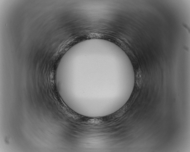X0000101650714200807100940