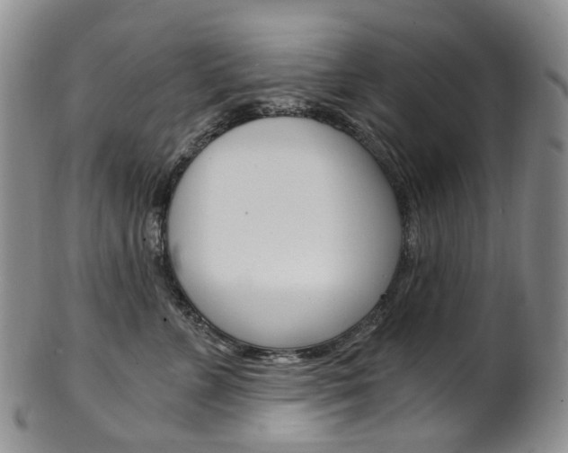 X0000101650715200807100940