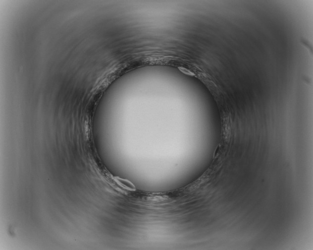 X0000101650716200807100940