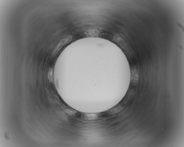 X0000101650717200807100940