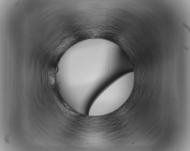 X0000101650719200807100940