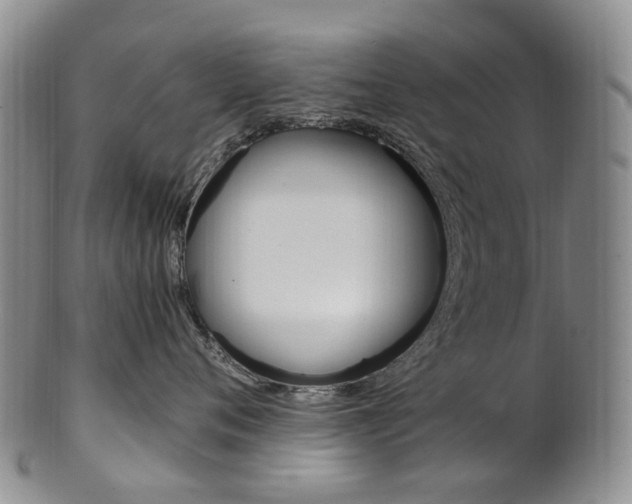 X0000101650720200807100940