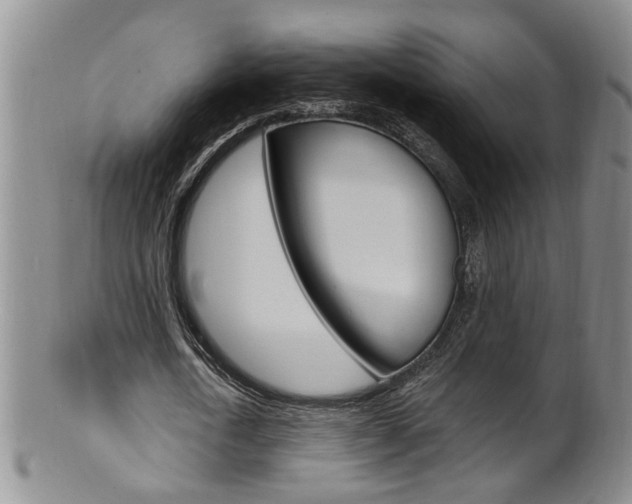 X0000101650722200807100939