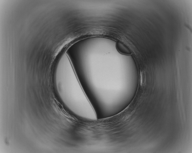 X0000101650723200807100939