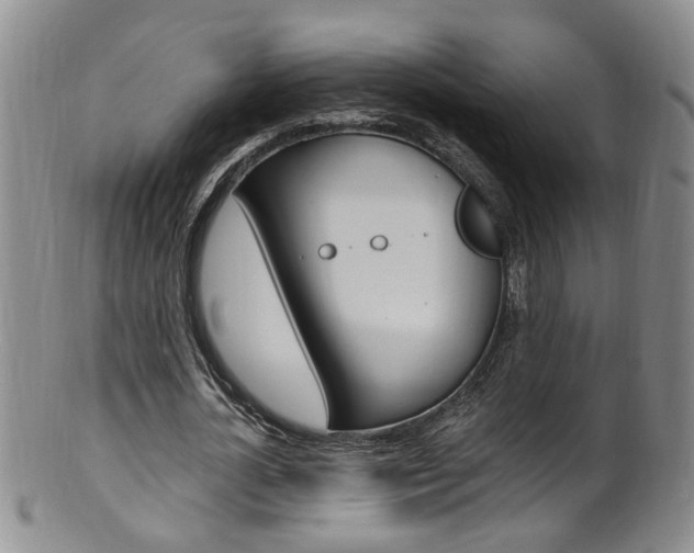 X0000101650724200807100939
