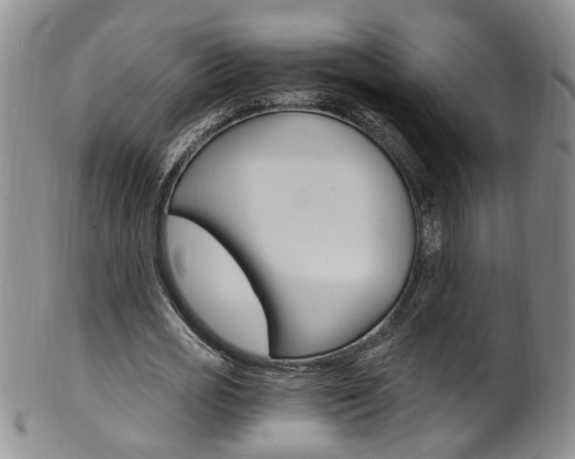 X0000101650725200807100939