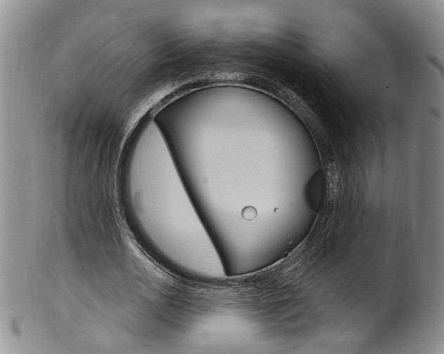 X0000101650726200807100939