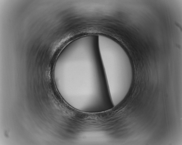 X0000101650727200807100939