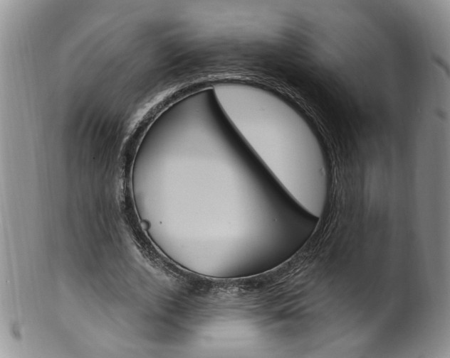 X0000101650728200807100939