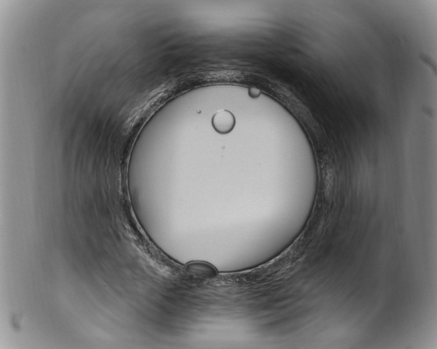 X0000101650729200807100939