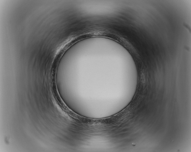 X0000101650730200807100939