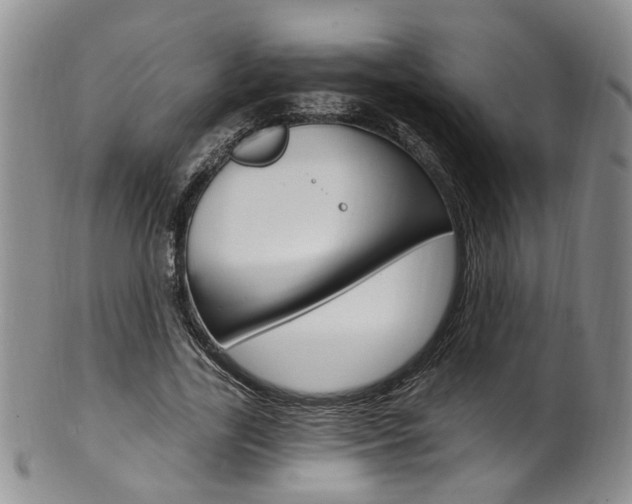 X0000101650731200807100939