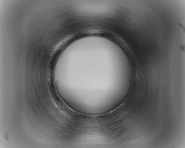 X0000101650732200807100939