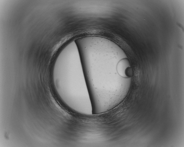X0000101650734200807100939