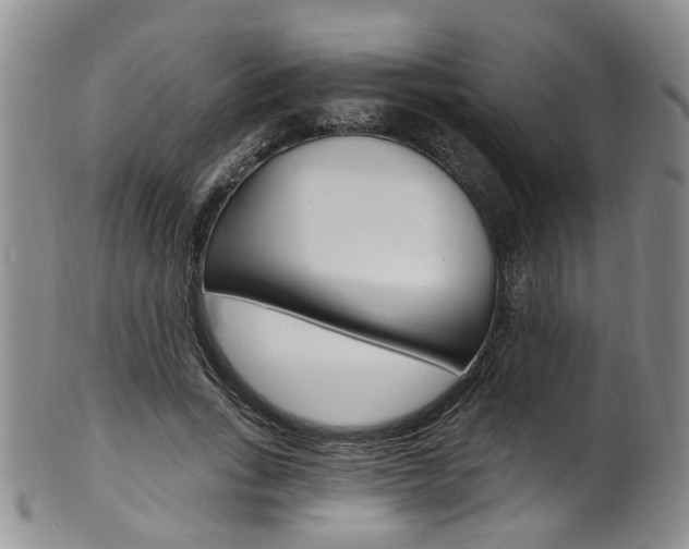 X0000101650735200807100939