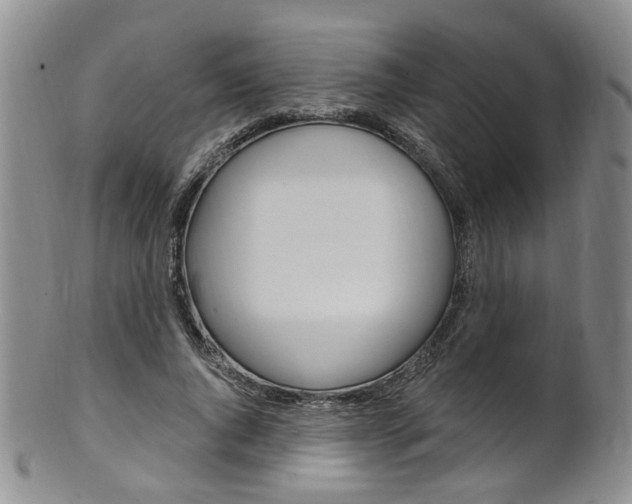 X0000101650736200807100939