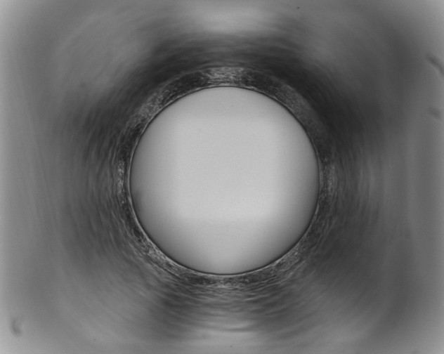 X0000101650737200807100939