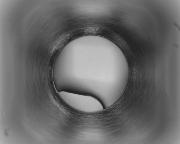 X0000101650738200807100939