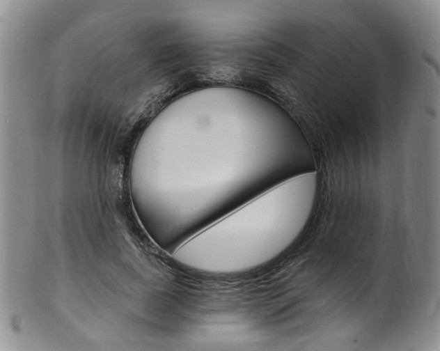 X0000101650739200807100939
