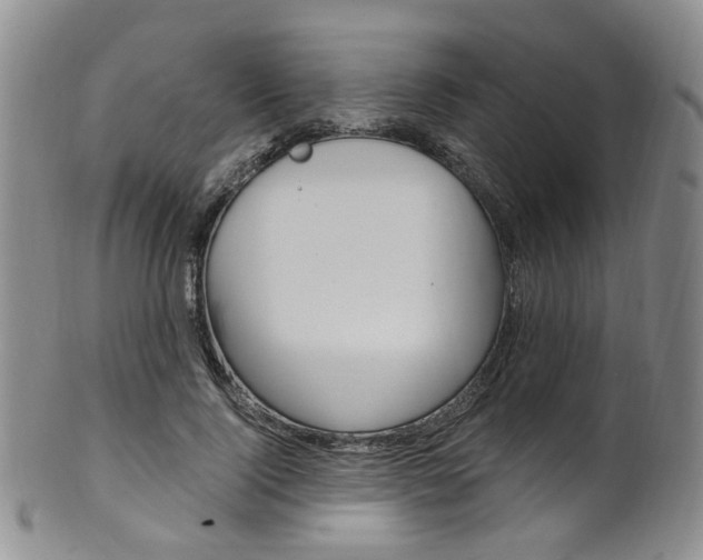 X0000101650740200807100939