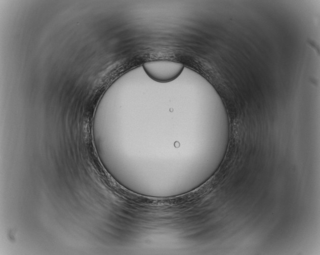 X0000101650741200807100939
